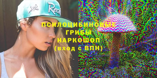 спиды Киреевск