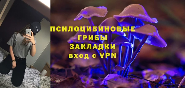 спиды Киреевск
