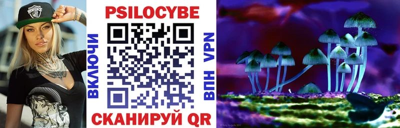 Псилоцибиновые грибы мицелий  Купить  Калач-на-Дону 