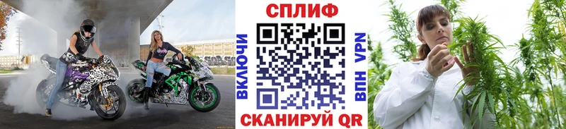 Купить где  Калач-на-Дону  Каннабис OG Kush 
